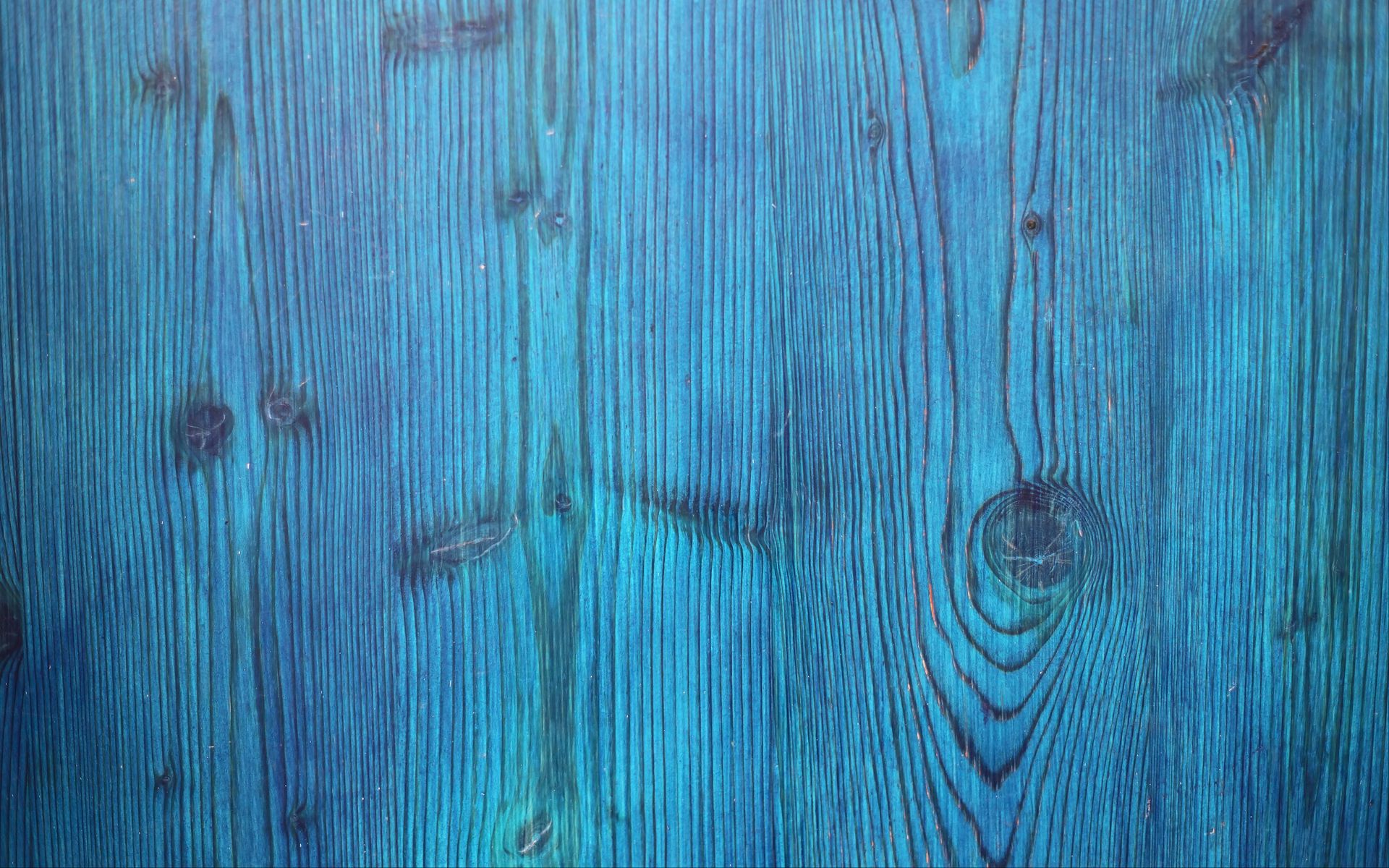 Голубое дерево текстура фото