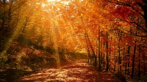 Autumn Wallpapers Hd Desktop Backgrounds Images And Pictures