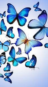 Butterfly Iphone 8 7 6s 6 For Parallax Wallpapers Hd Desktop