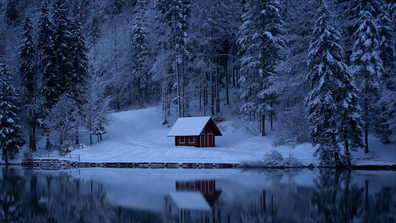 Wallpaper lake, forest, snow, winter, trees hd, picture, image, nature wallpaper hd unsplash