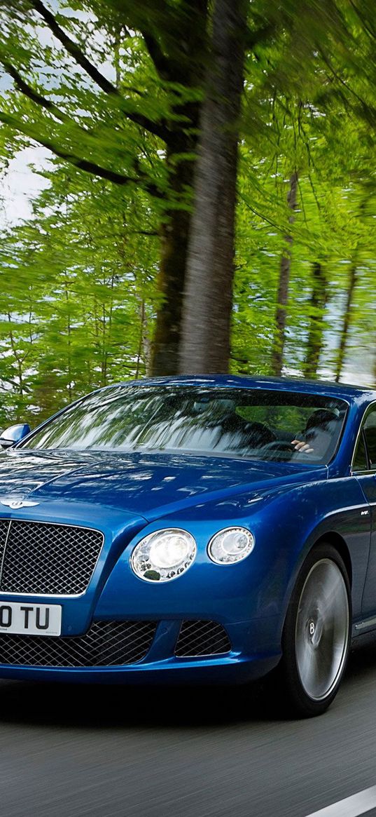 bentley, continental, gt, blue, side view, speed