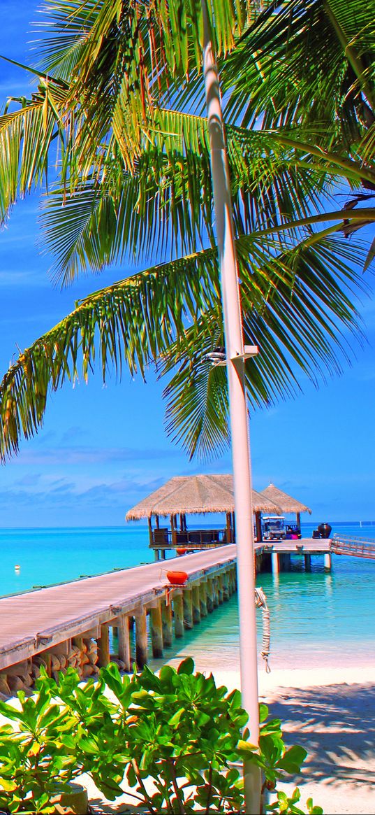 maldives, sky, clouds, island, palm trees, bungalows, sea, ocean