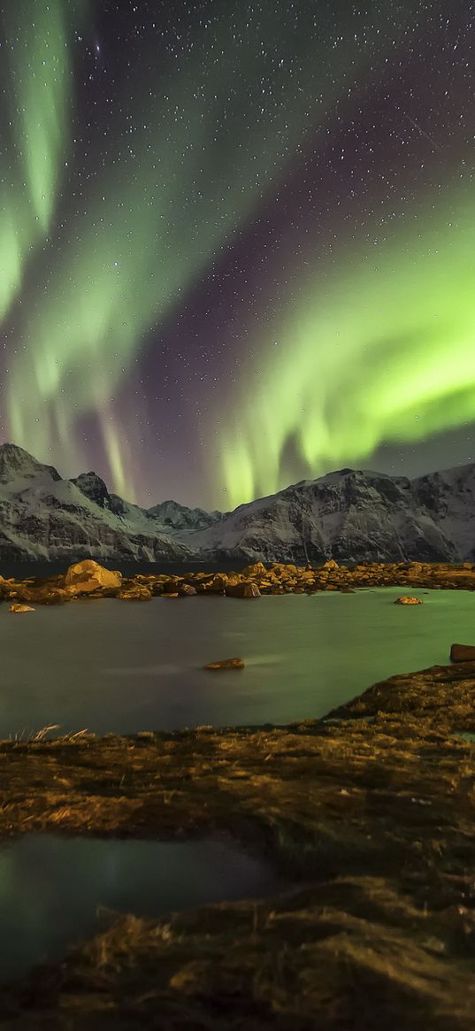 norway, night, northern lights, lake