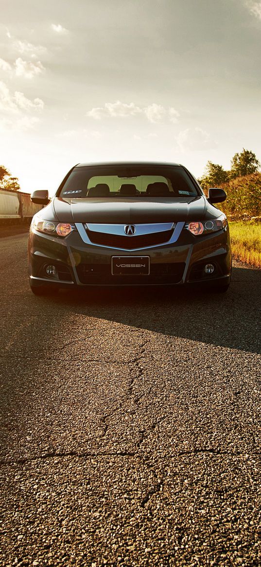 honda, accord, acura, tsx, front view