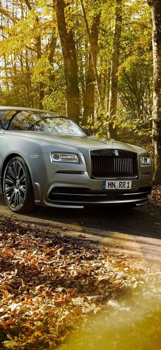 rolls royce, wraith, spofec, silver, fall, park, side view