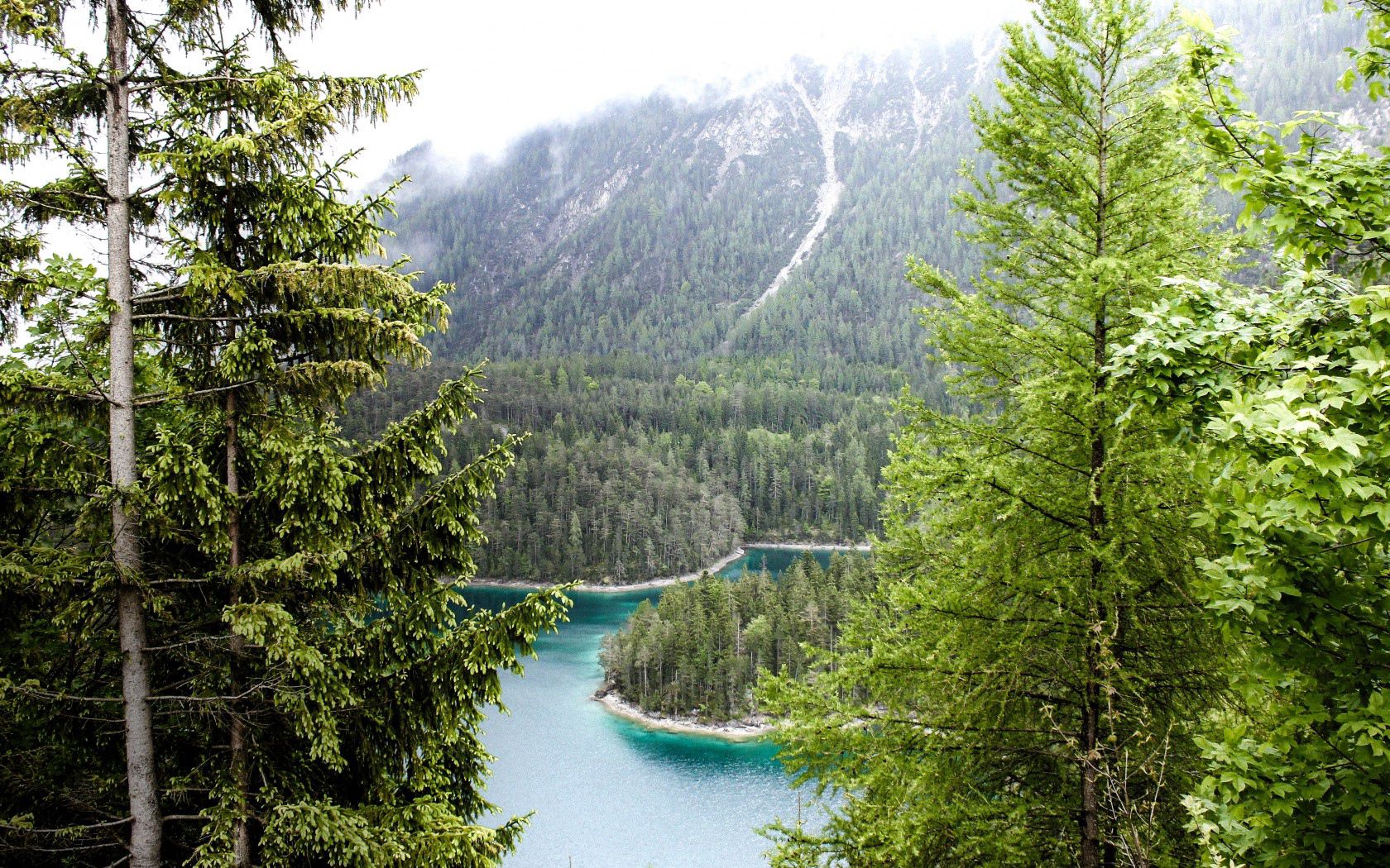 germany, bavaria, munich, forest, river, trees