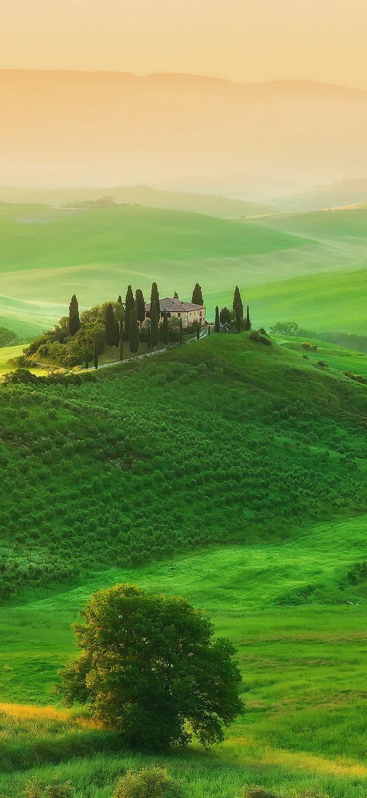 italy, tuscany, field, farm, grass