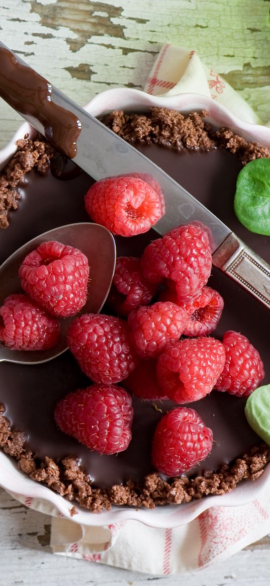 pie, raspberry, chocolate, dessert, devices