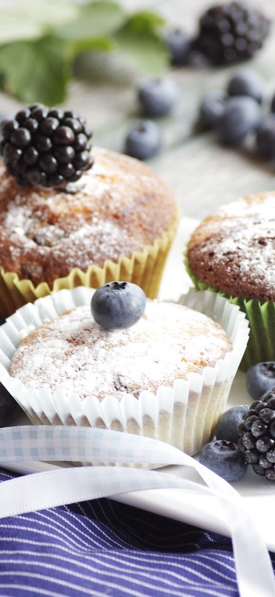 muffins, cupcakes, powder, berries