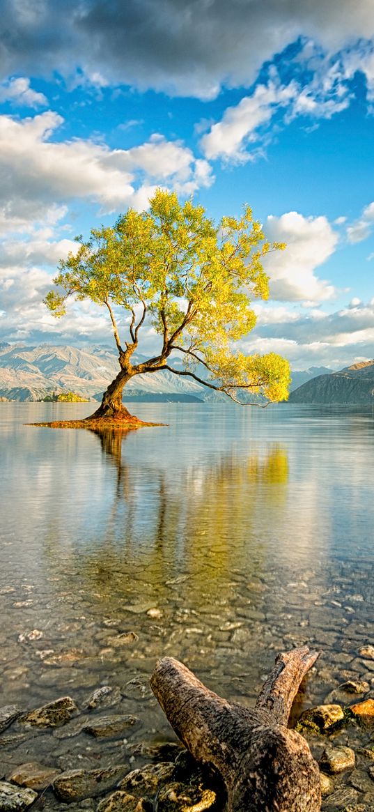 new zealand, island, lake, wanaka