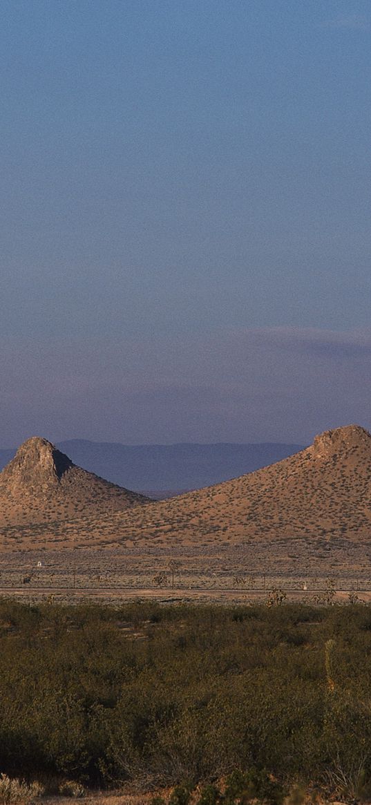 moon, sky, desert, mountains, sand, vegetation, tops