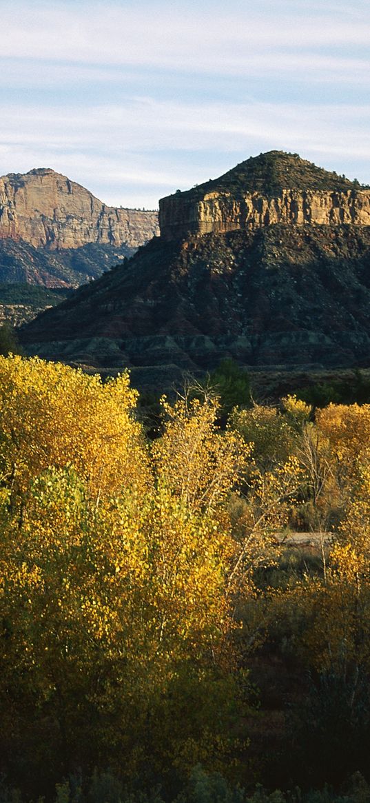 mountains, trees, autumn, vegetation, evening, shade