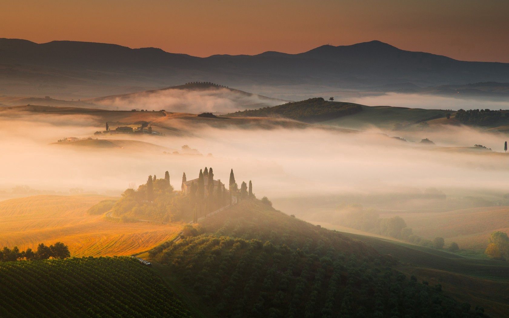 italy, tuscany, hills, fog, grass