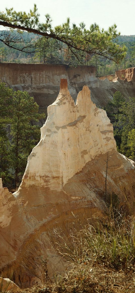 cliff, edge, mountains, trees, conifers