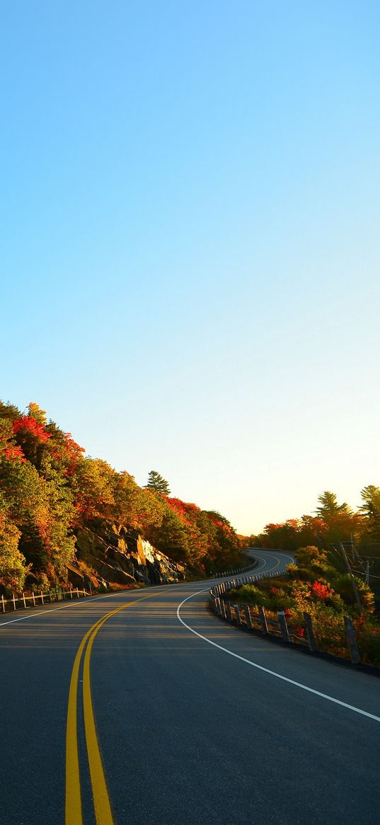 autumn, road, turn, trees, marking