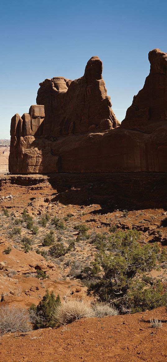 canyon, stones, shapes, contours, shadows, desert, vegetation