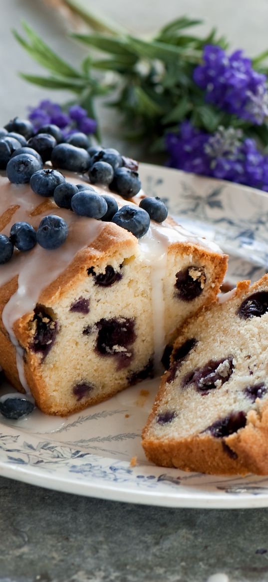 cupcake, blueberry, berries, baking, icing