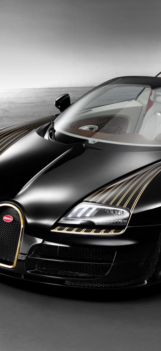 bugatti veyron, black bess, w16