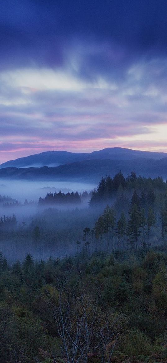 scotland, hills, fog, trees, sky