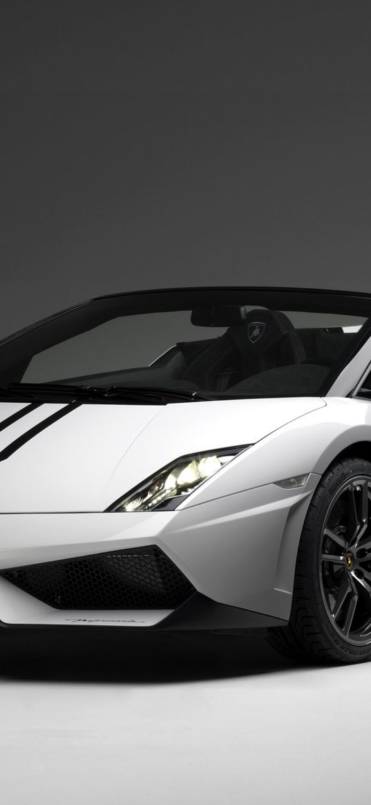 lamborghini, gallardo, lp570-4, spyder, white