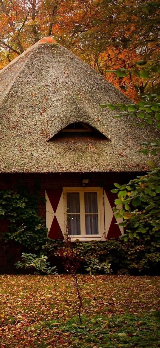 cabins, forest, autumn, house, landscape