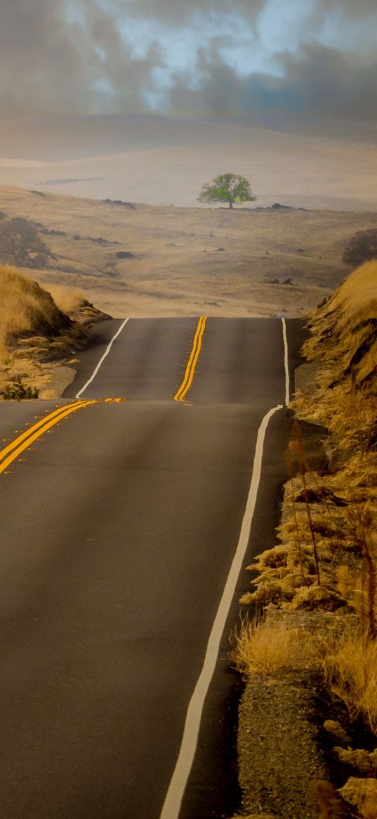 road, hills, marking, grass