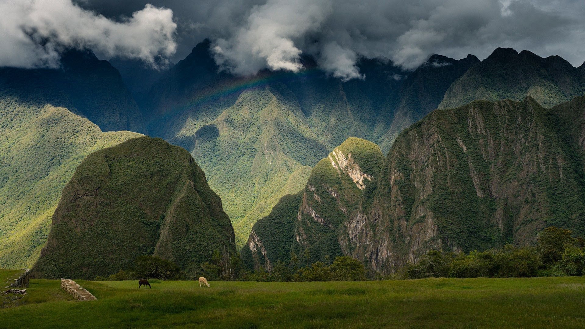 machu picchu, andes, peru, mountains, sky, inca citadel