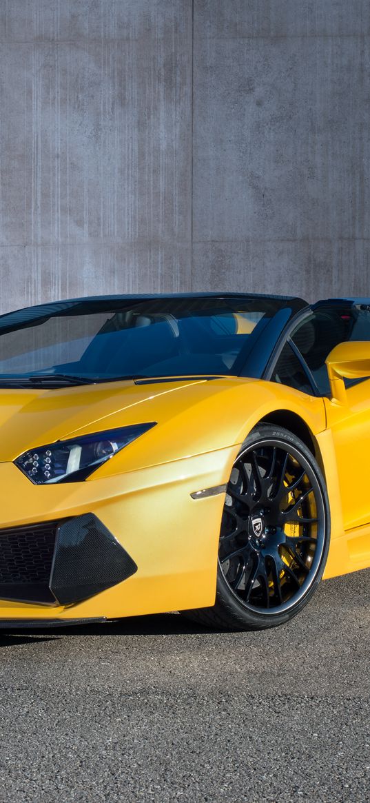 hamann, lamborghini, aventador, roadster, lb834, yellow, side view