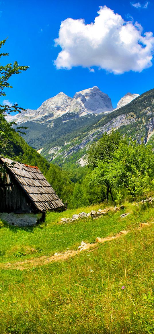 slovenia, mountains, grass, summer, sun