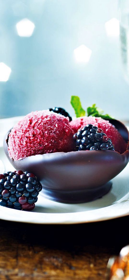 ice cream, blackberry, dessert, chocolate