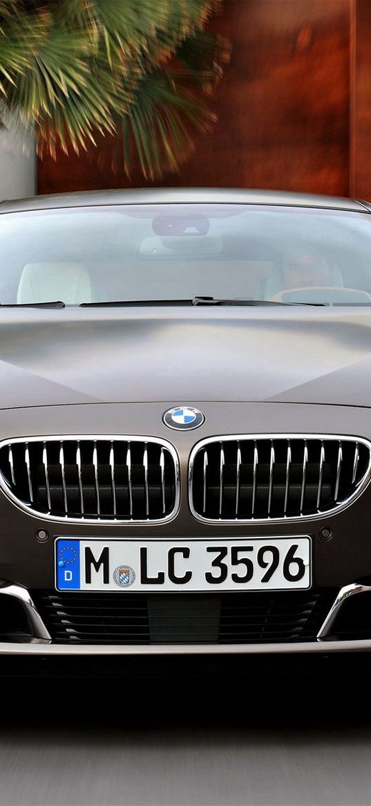 bmw  6, bmw, front view, lattice