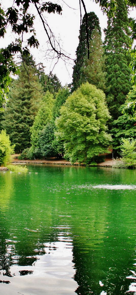 united states, portland, oregon, laurelhurst park