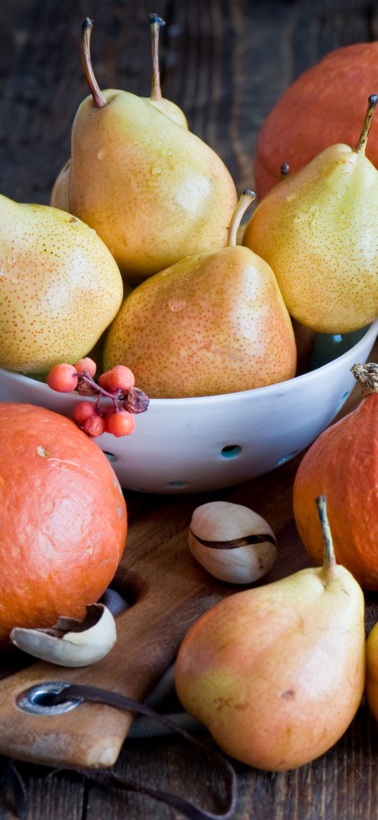 vegetables, fruit, pears, pumpkins, honey, cheese, still life