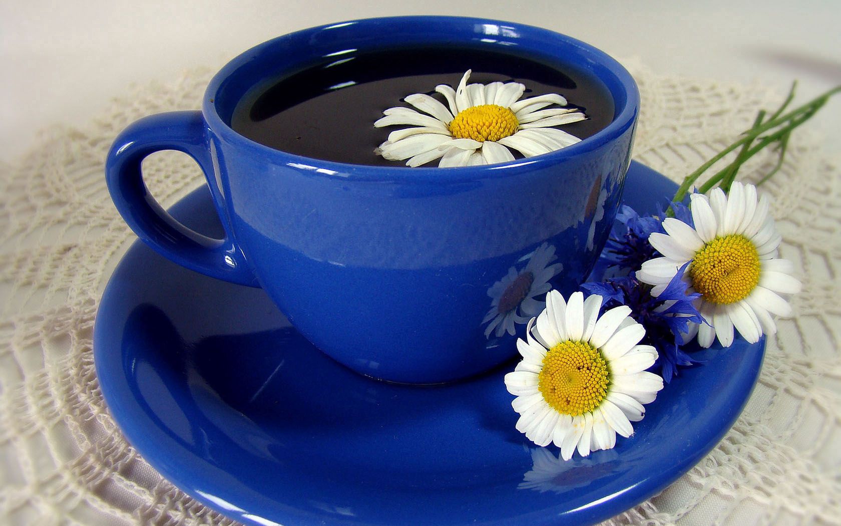 tea, cup, plate, camomile, flowers