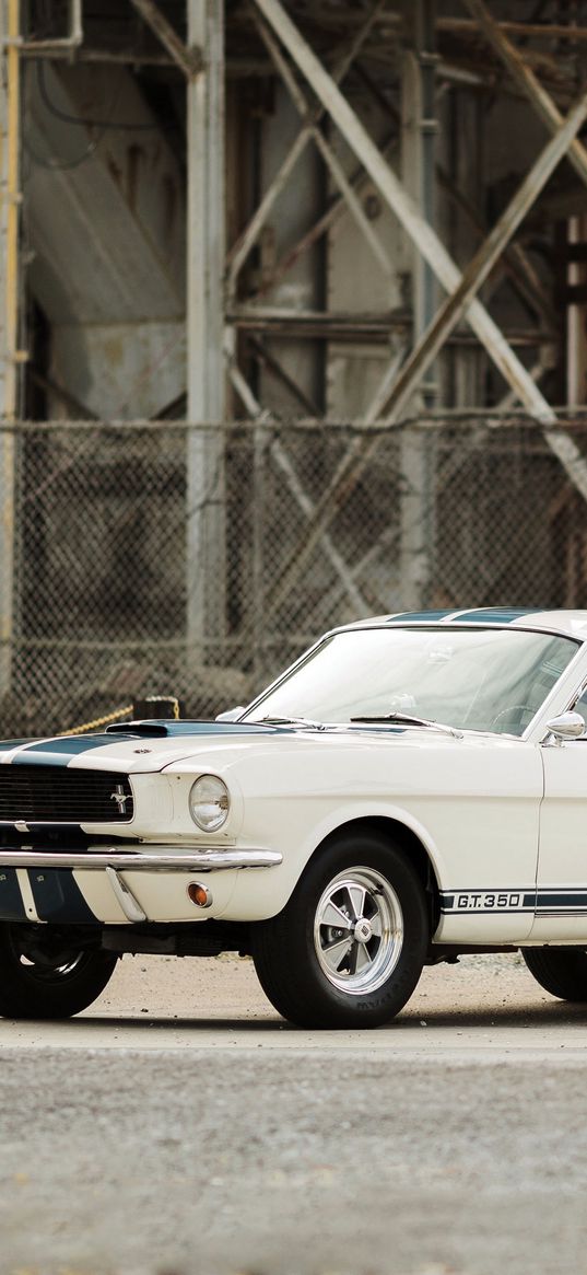 shelby, gt350, ford mustang, 1966