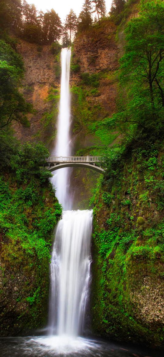 oregon falls, multnomah, united states, gorge, bridge