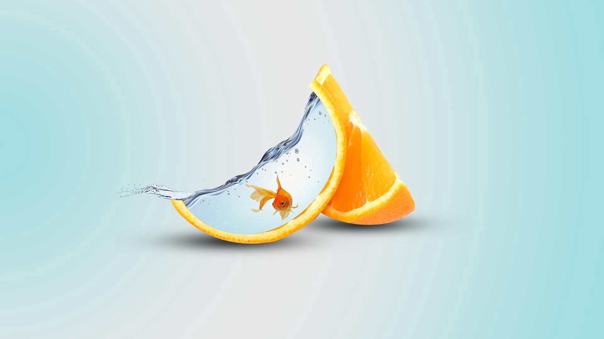 orange, slice, fish, water