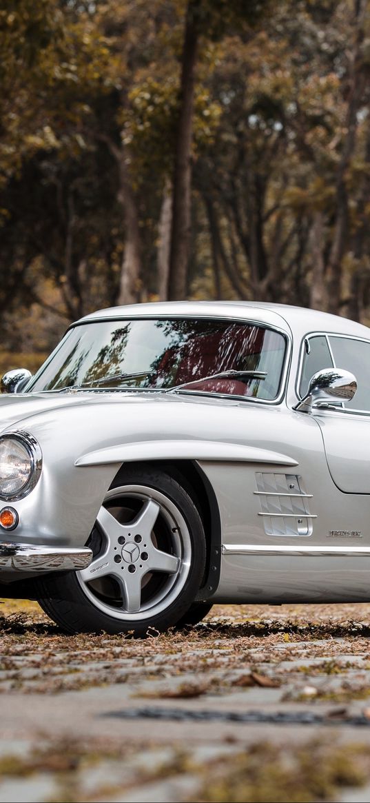 mercedes-benz, 300sl, amg, w198, silver, side view