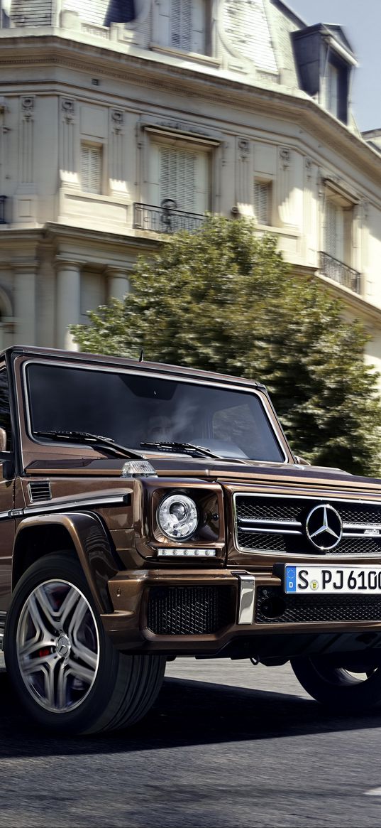 mercedes, amg, g63, w463, gelendvagen