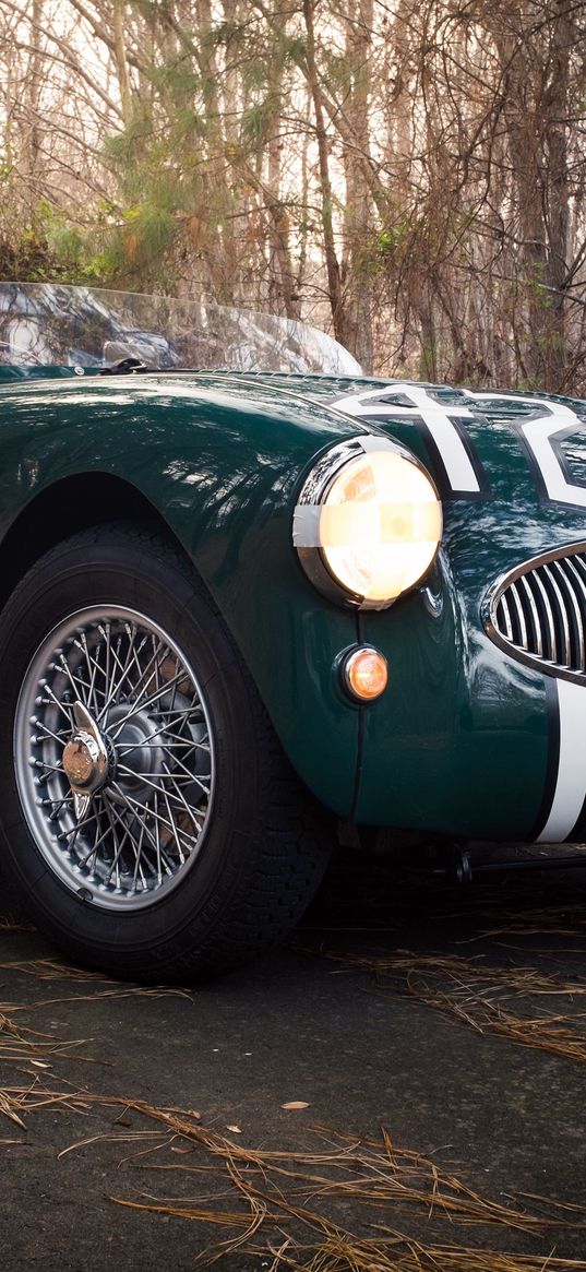 austin healey, 100s, green, front view