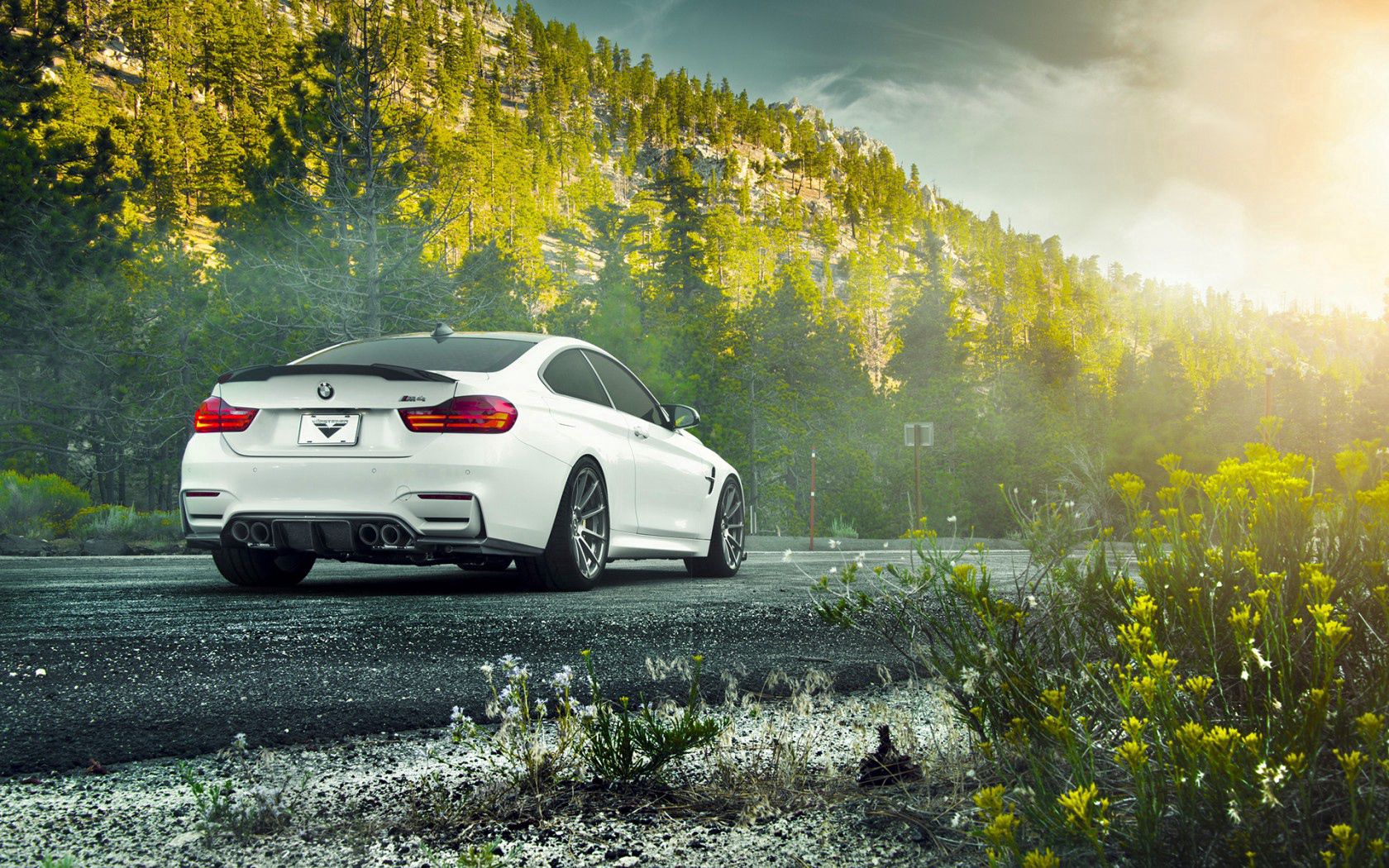 bmw, m4, f82, vorsteiner, v-ff, white, rear view