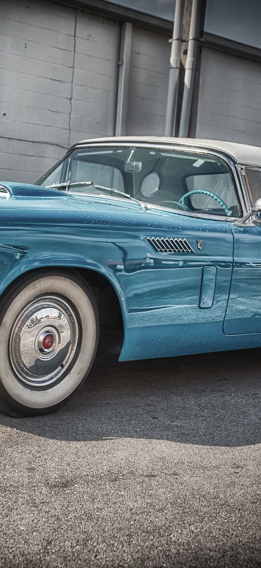 ford, thunderbird, 1956, blue, side view