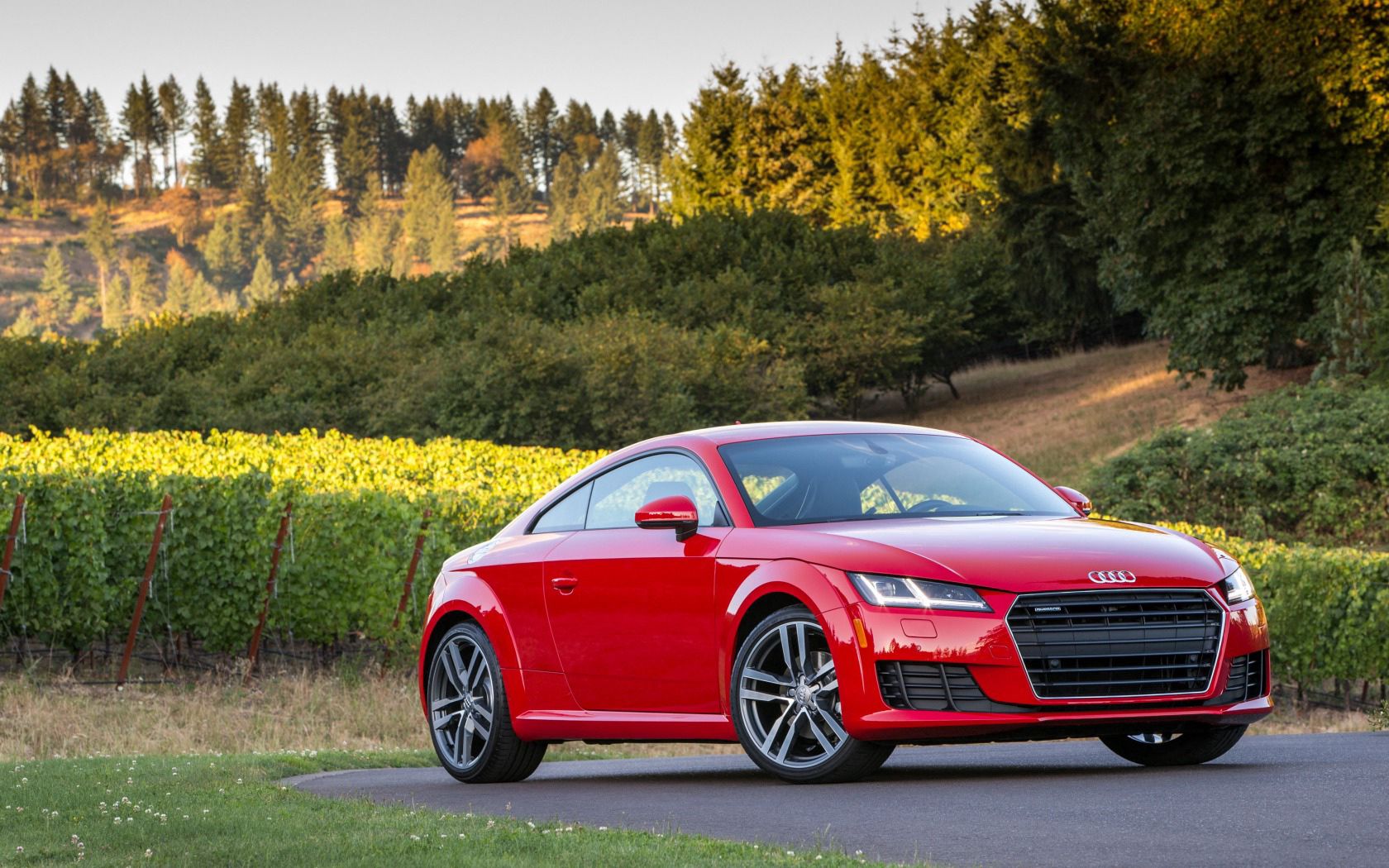 audi, tt, tfsi, quattro, us-spec, red