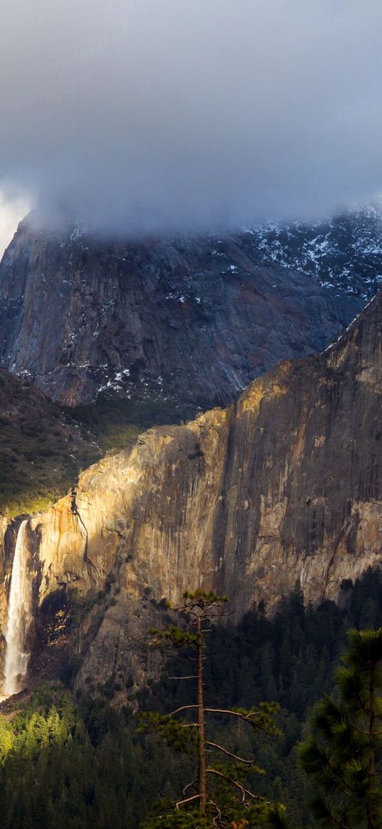 yosemite national park, yosemite, mountain, fog