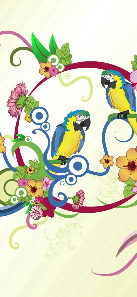 parrots, colorful, colors, patterns