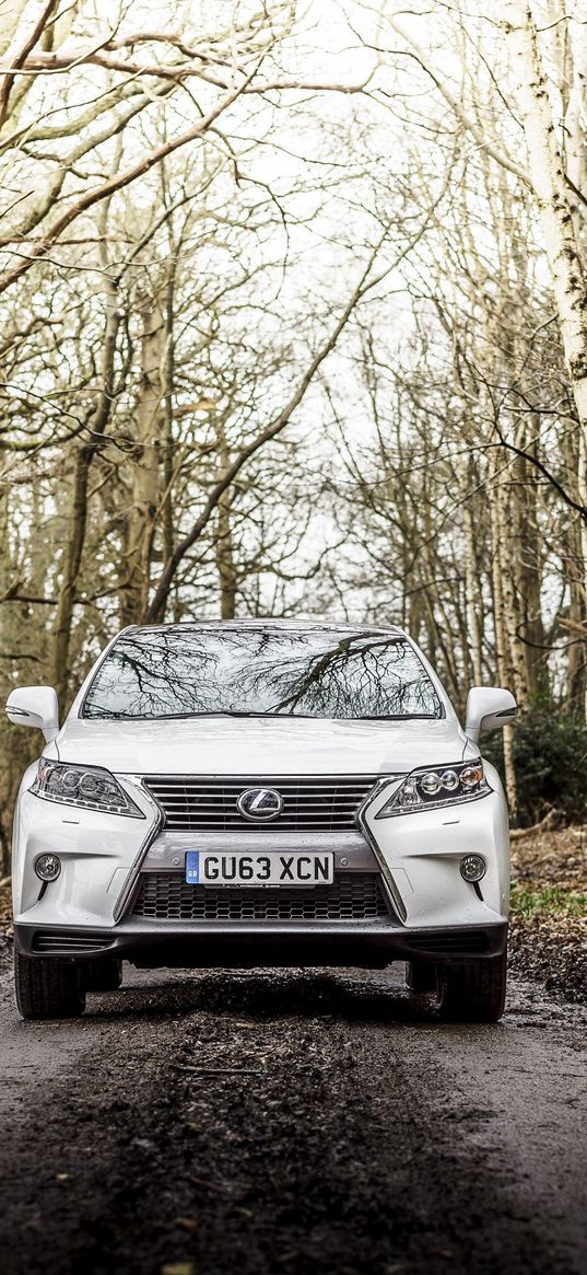 lexus, rx 450h, f-sport, uk-spec, white, front view