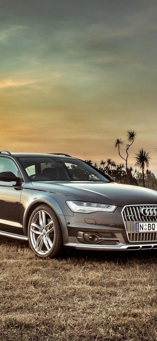 audi, a6, allroad, side view, hdr