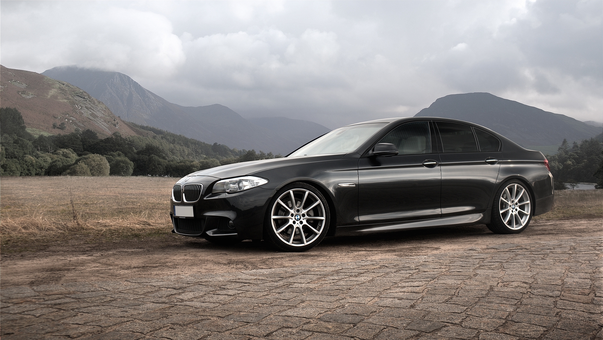 bmw, 5, black, side view, f10