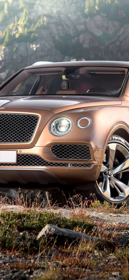 bentley, bentayga, brown, side view