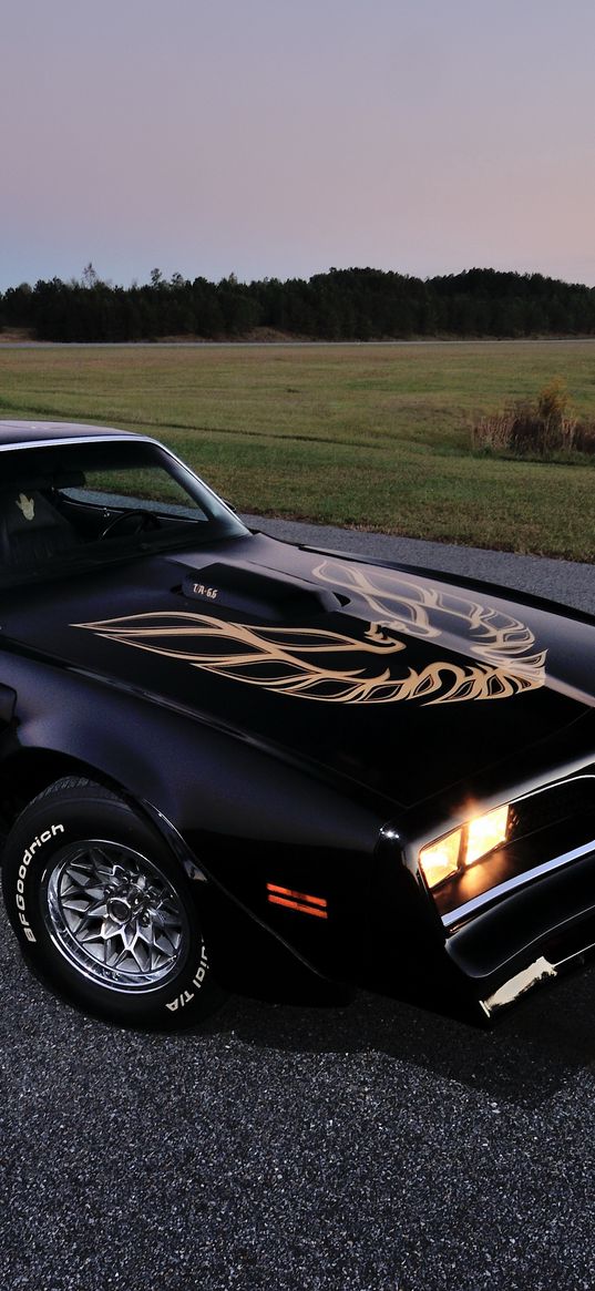 pontiac, firebird, 1978, black